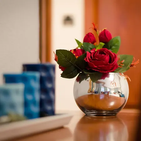 Meri トロギール